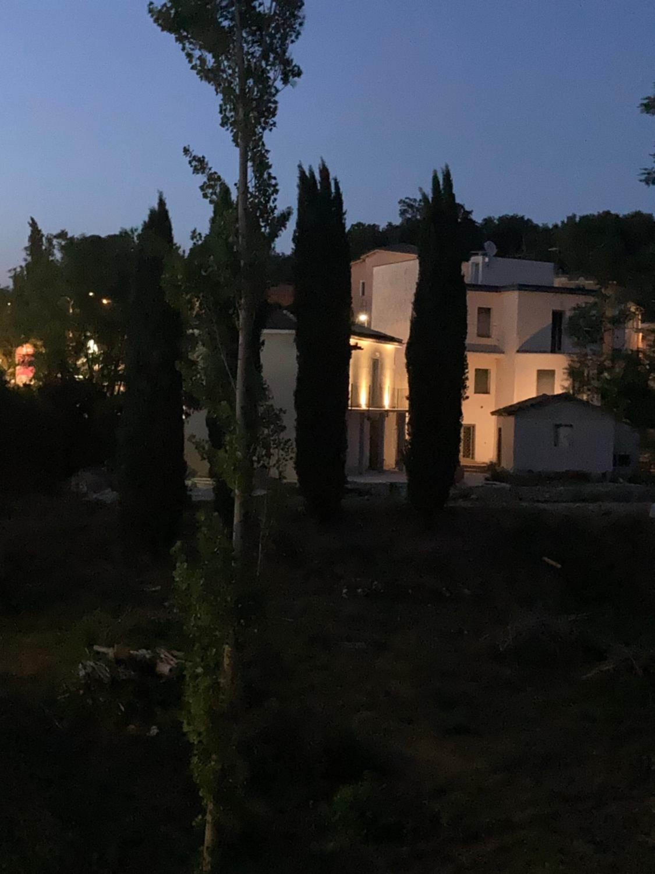 Photo 44