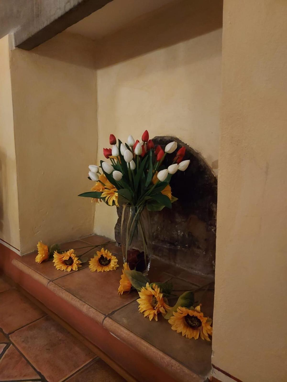 Photo 29