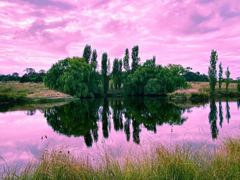 The Pine Tree Cottage - Charming cottage close to Canberra