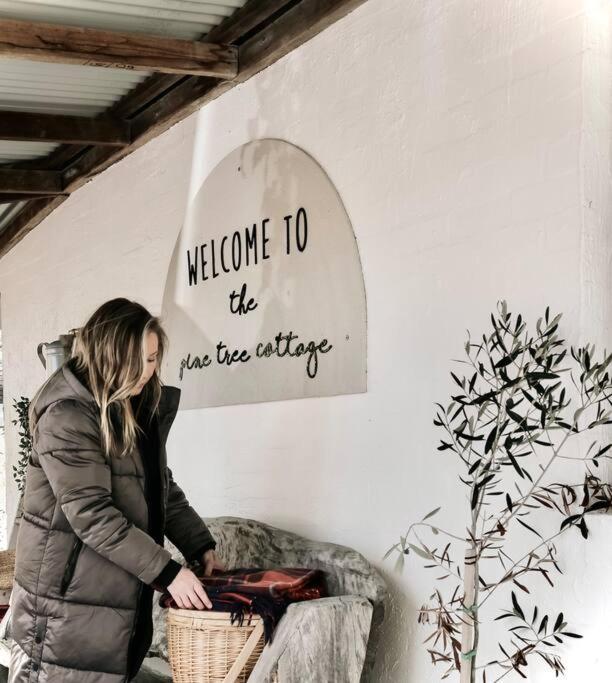 The Pine Tree Cottage - Charming cottage close to Canberra