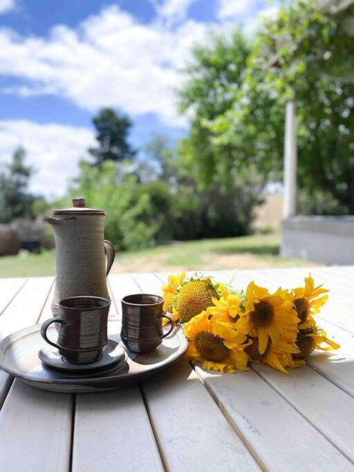 The Pine Tree Cottage - Charming cottage close to Canberra