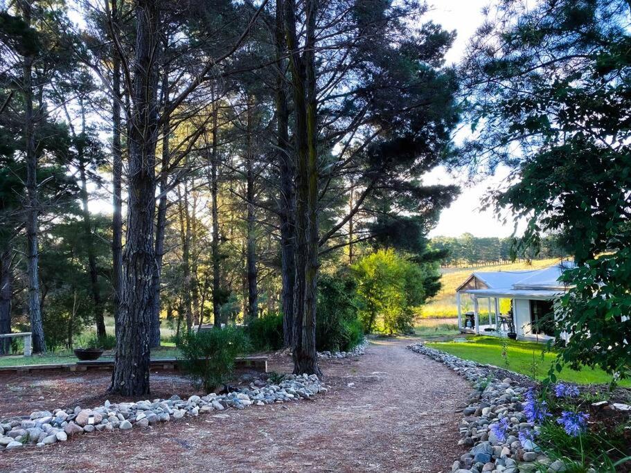 The Pine Tree Cottage - Charming cottage close to Canberra