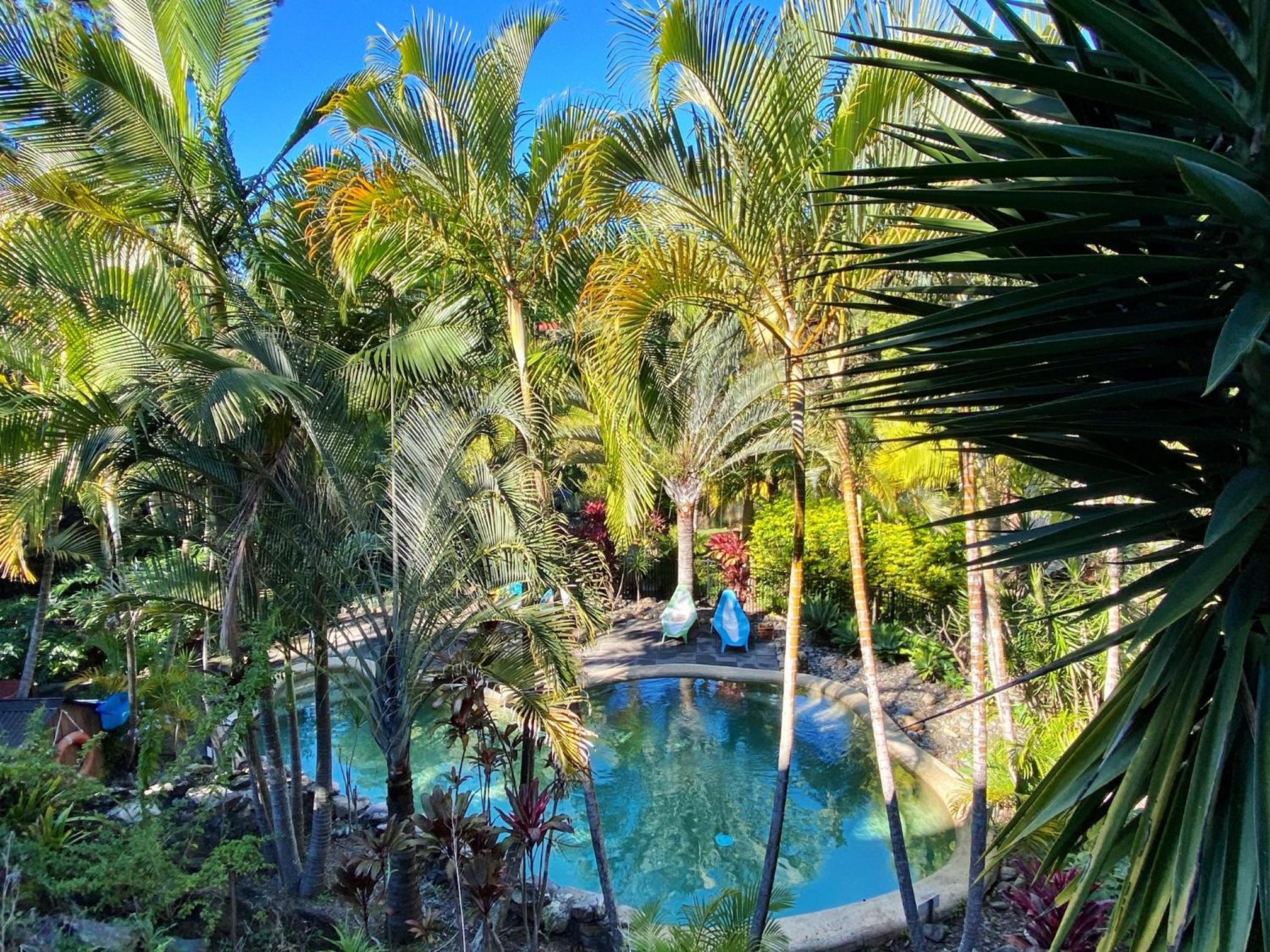 Sunset Pond Paradise