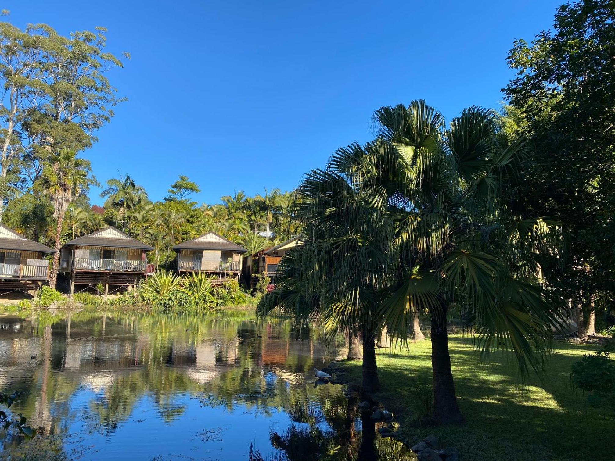 Sunset Pond Paradise