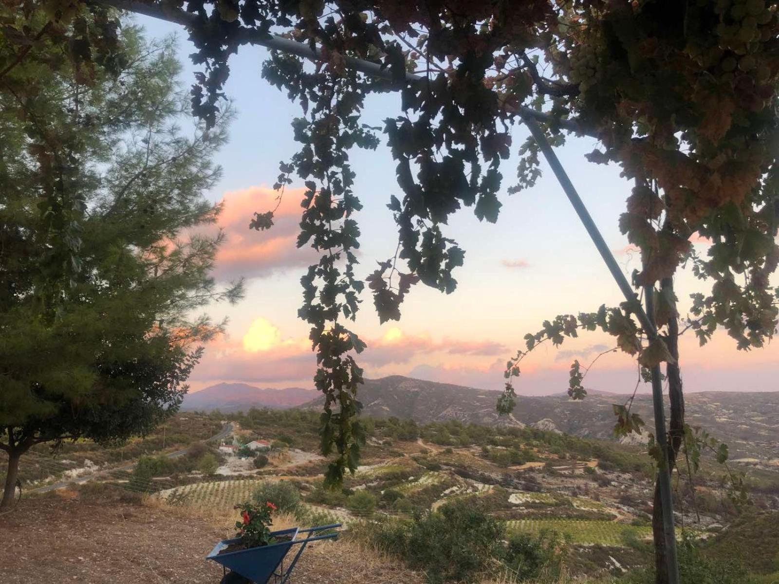 House on a Hill with Stunning Views near Troodos