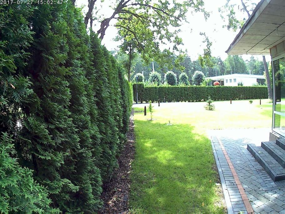 Exquisite 1930's Historical House view 5