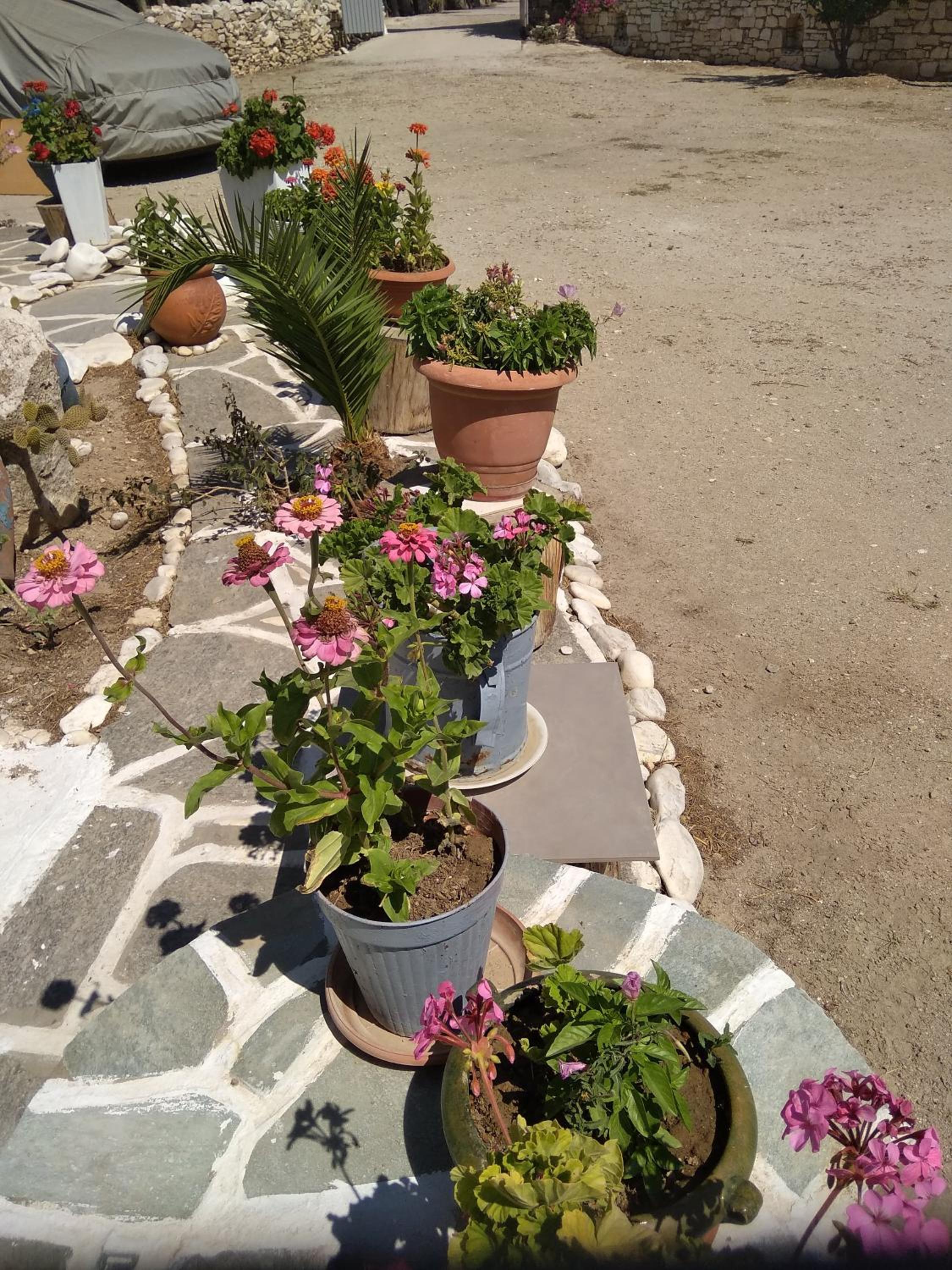 Photo 25