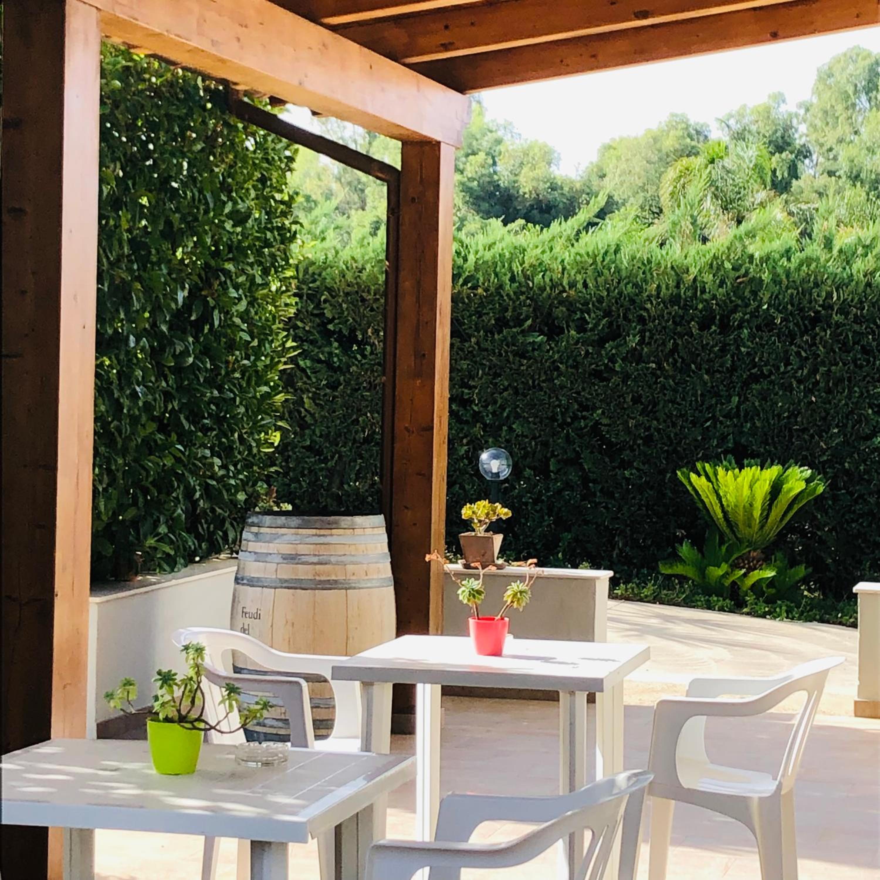 balance & terrace