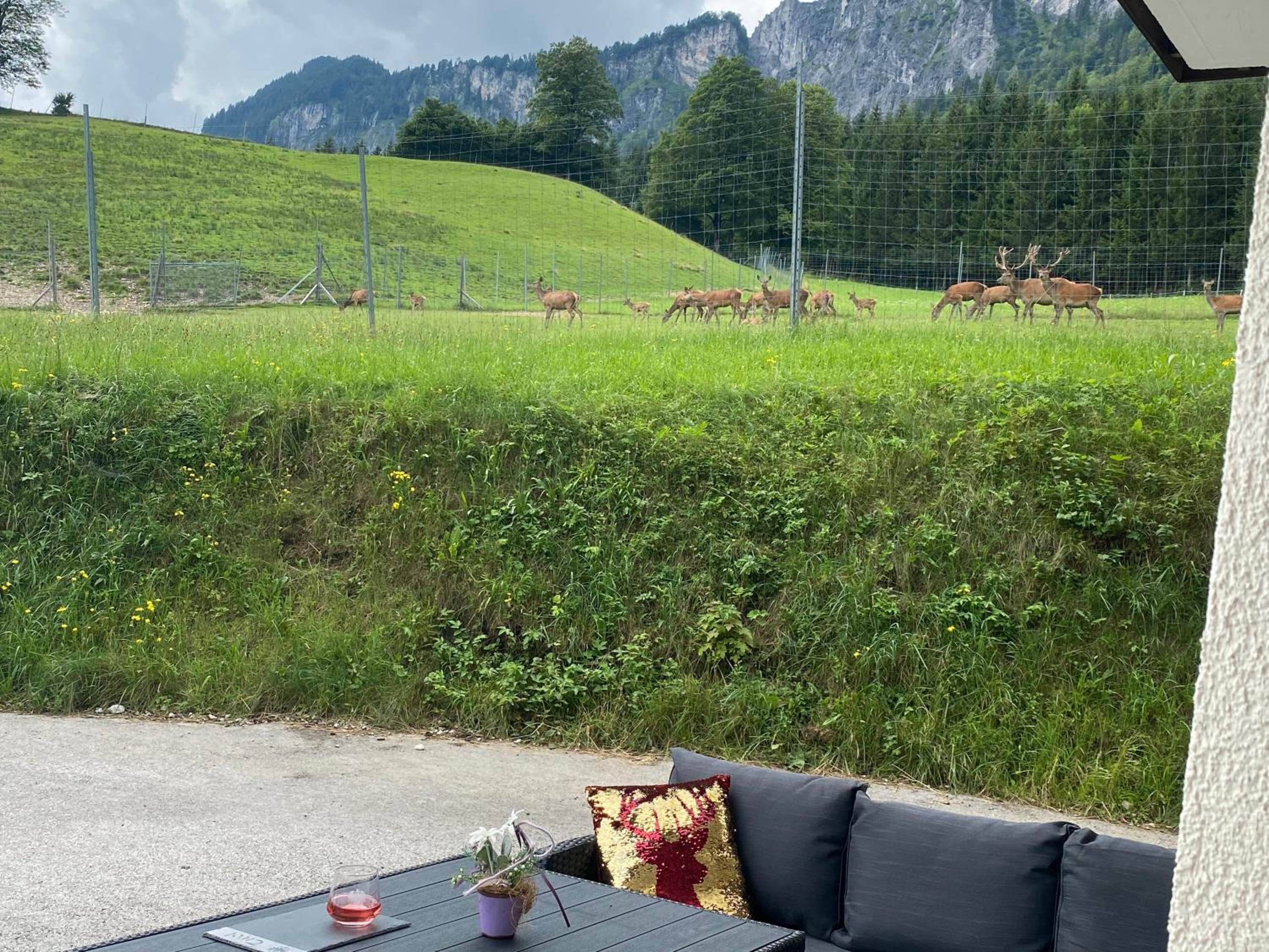 Berghof Haselsberger Appartements