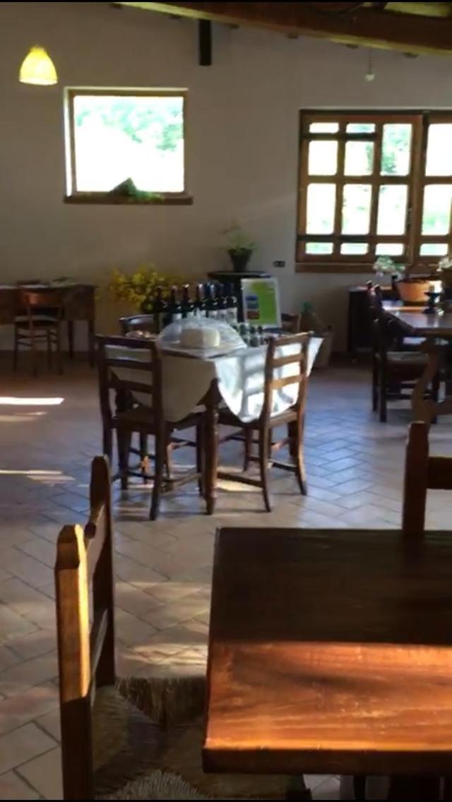 Il Casale del Popolo view 4