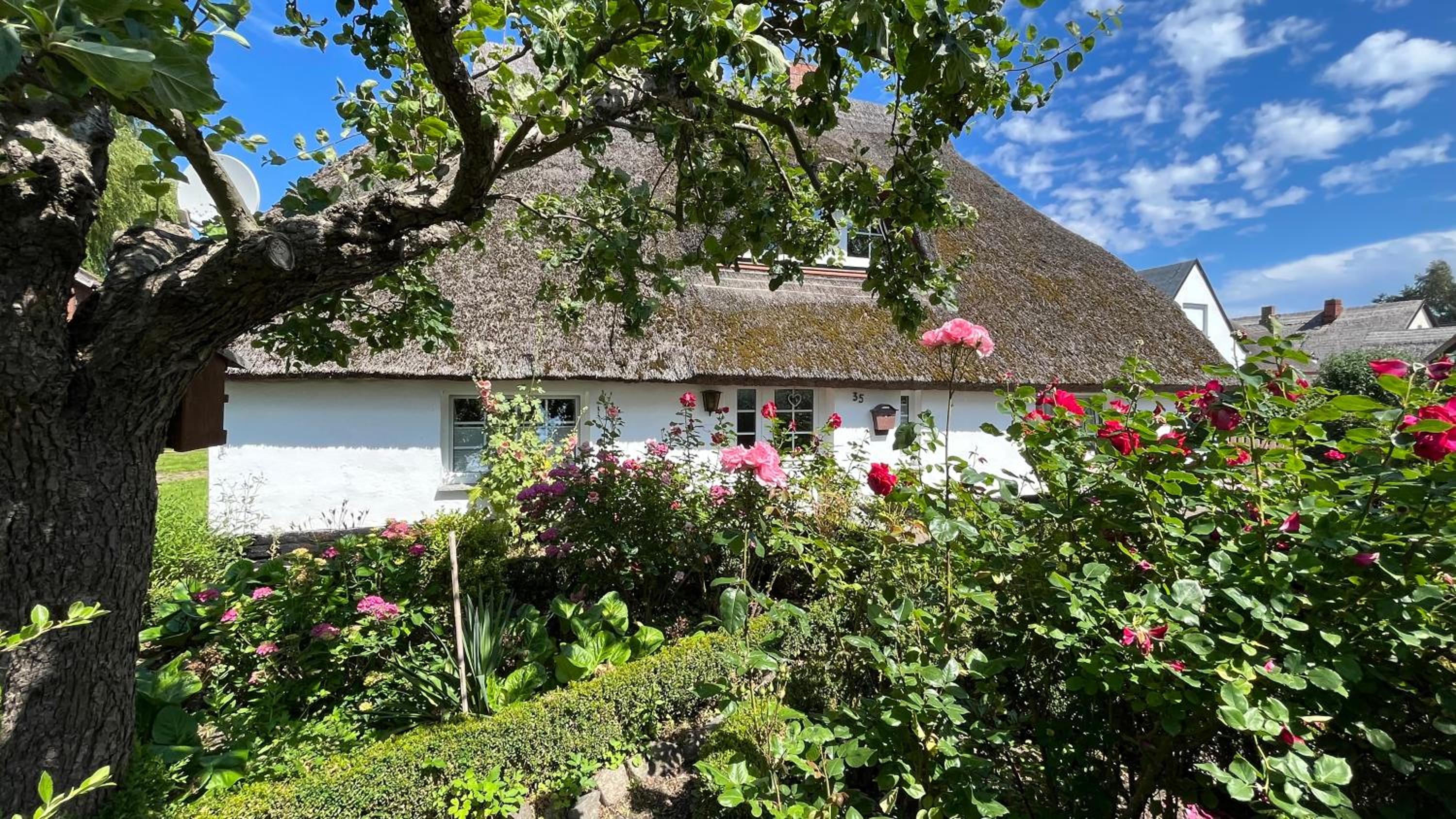 Reetdachtraum view 4