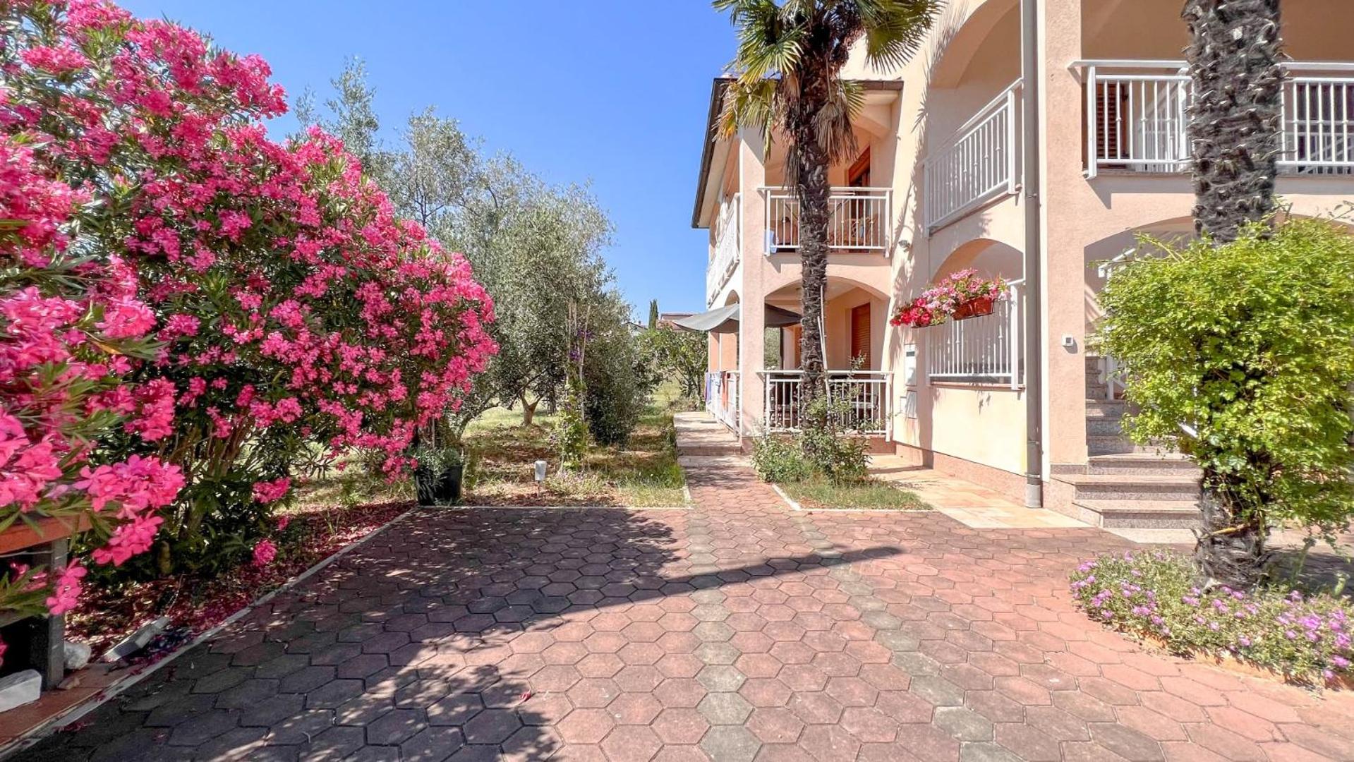 Hotel Viola Three - Image 1