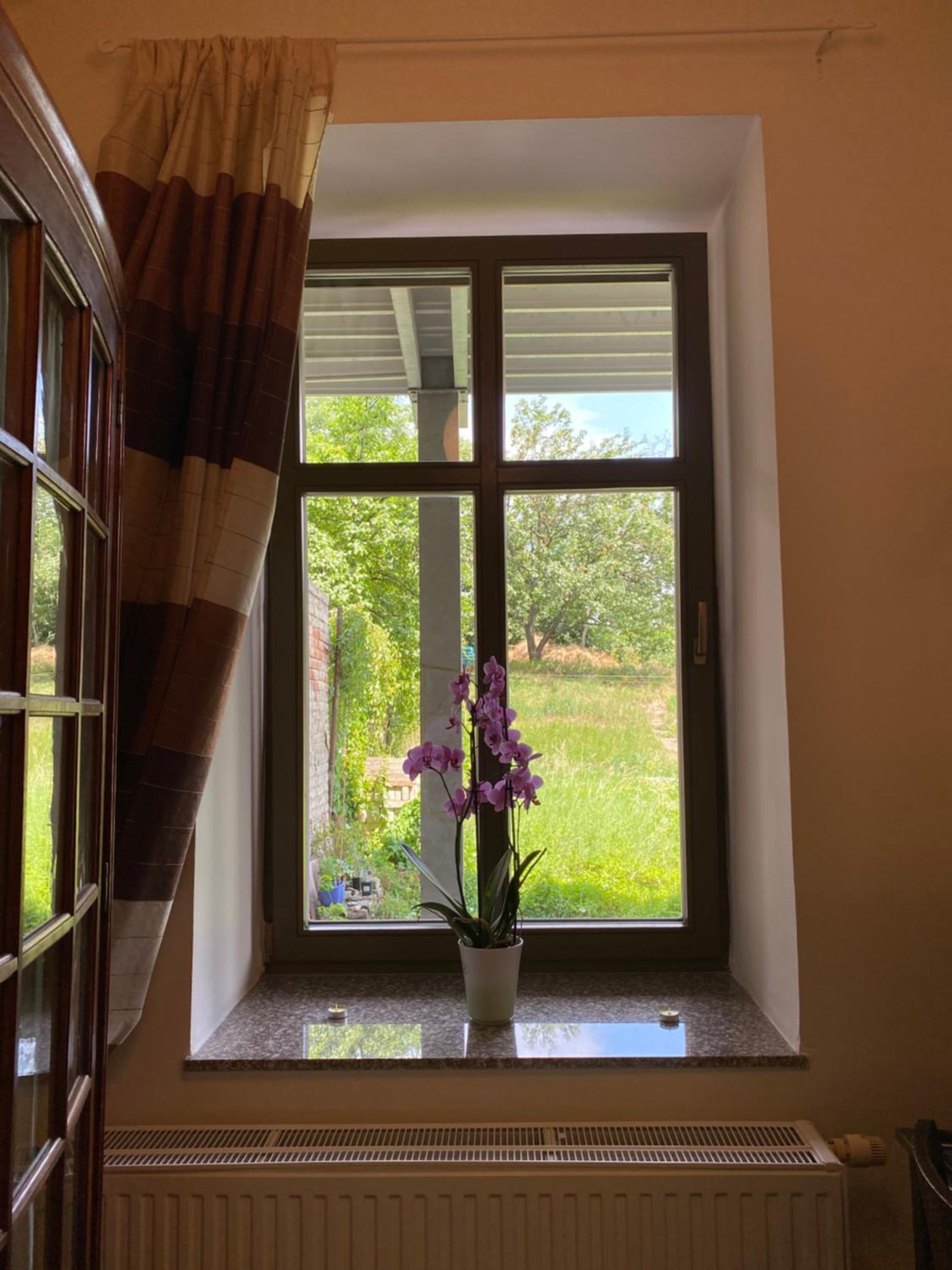 Dragonfly view 4