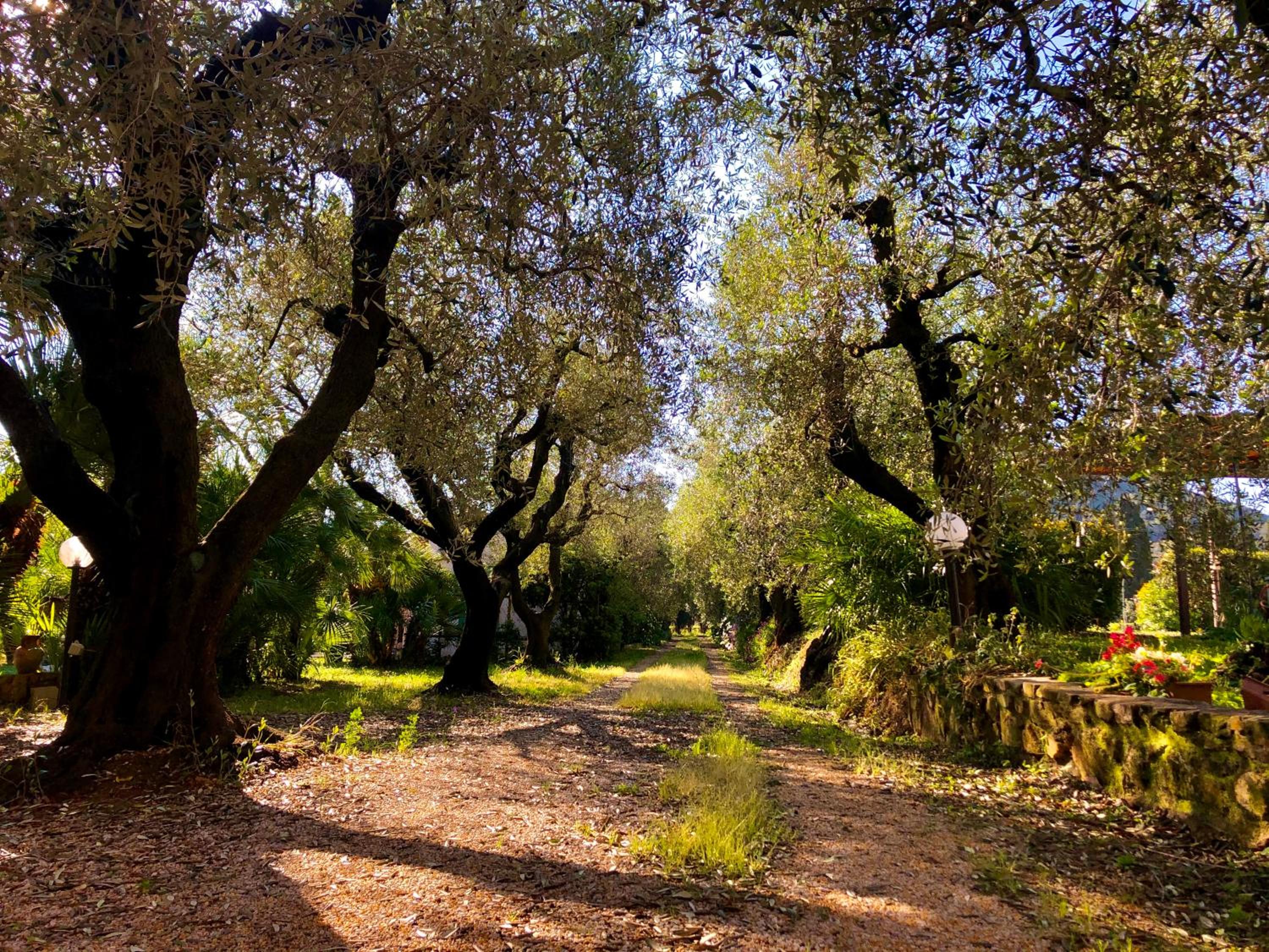 Agriturismo Montefabbrello
