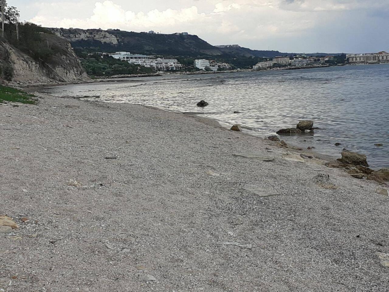 Photo 100