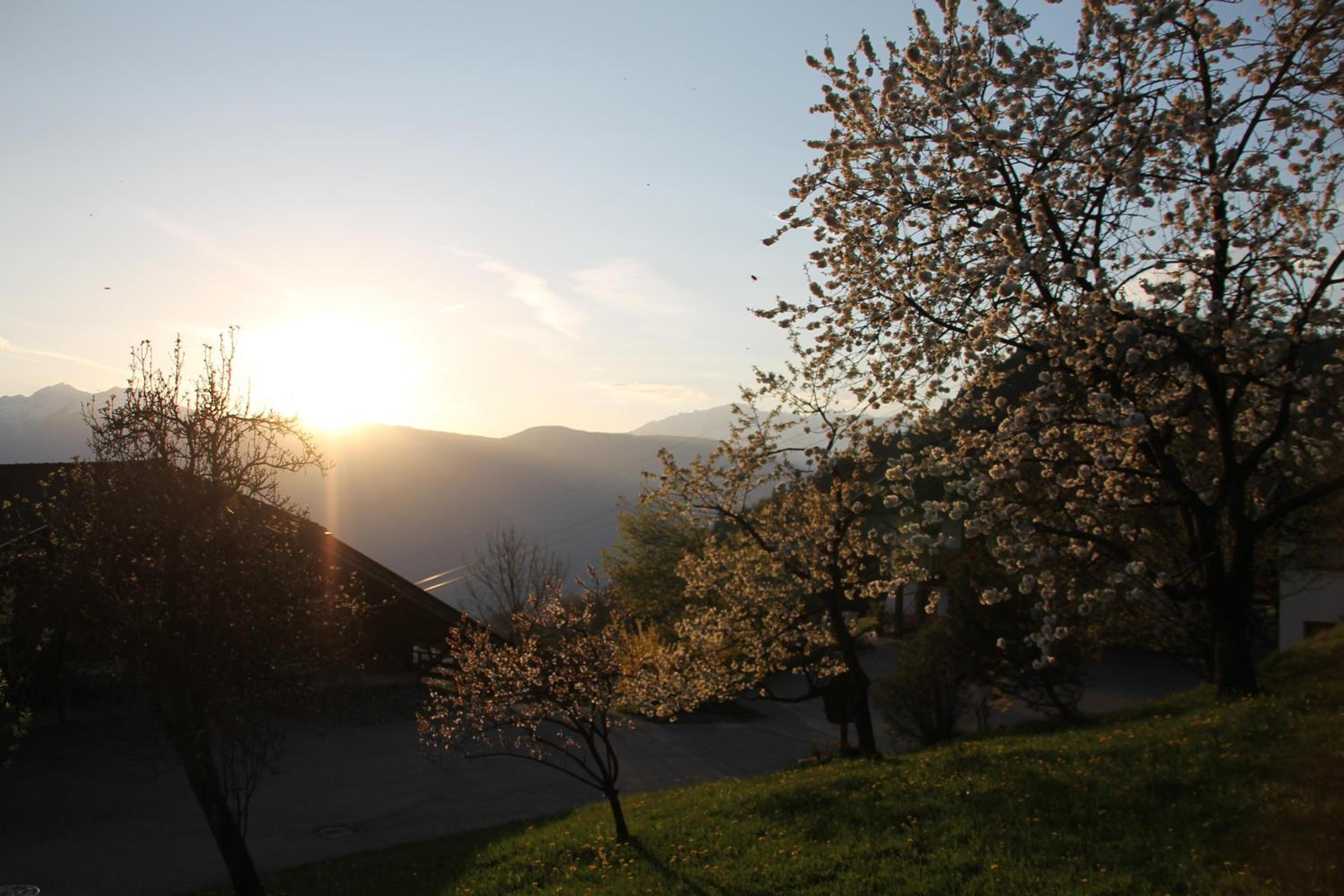 Eichernhof Apartment Kirschblüte