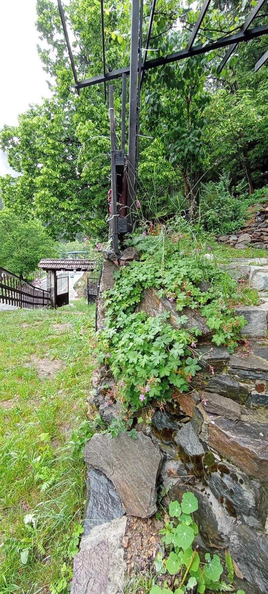 Yakusha - Якуша, къща за гости
