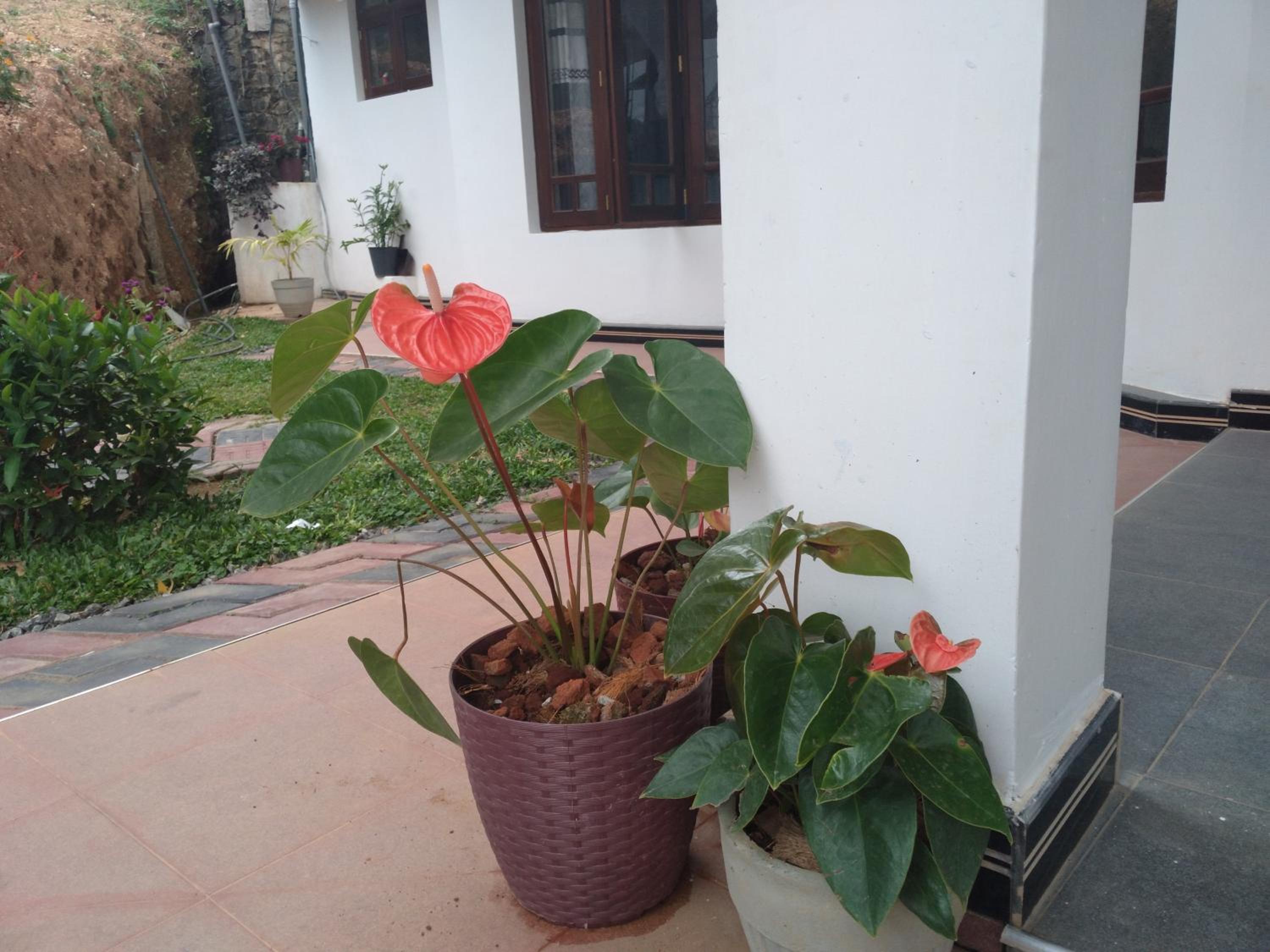 Photo 32