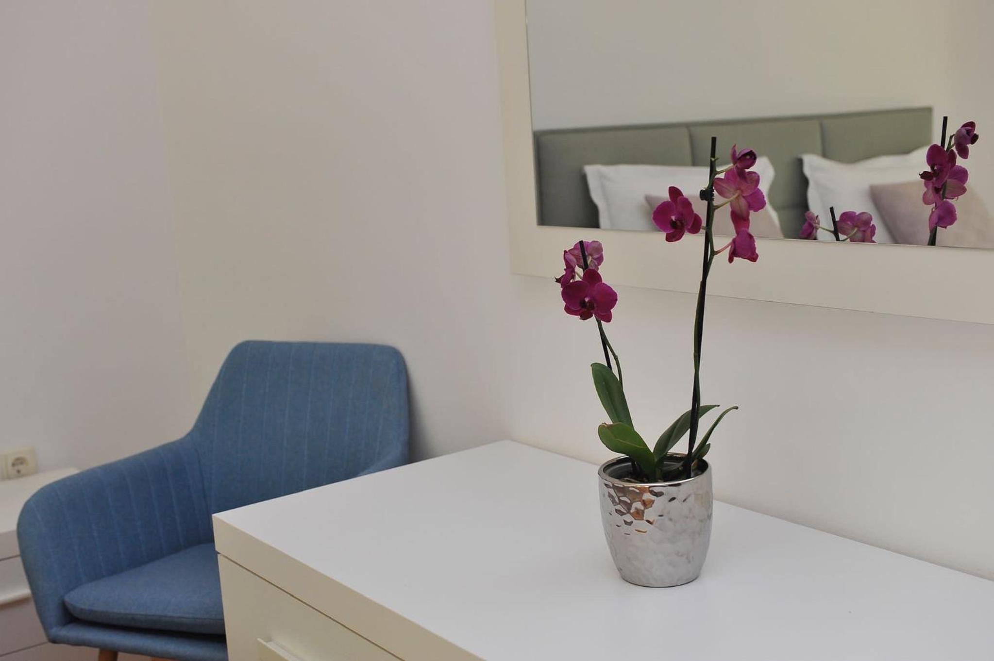 Apartment Botanic view 5