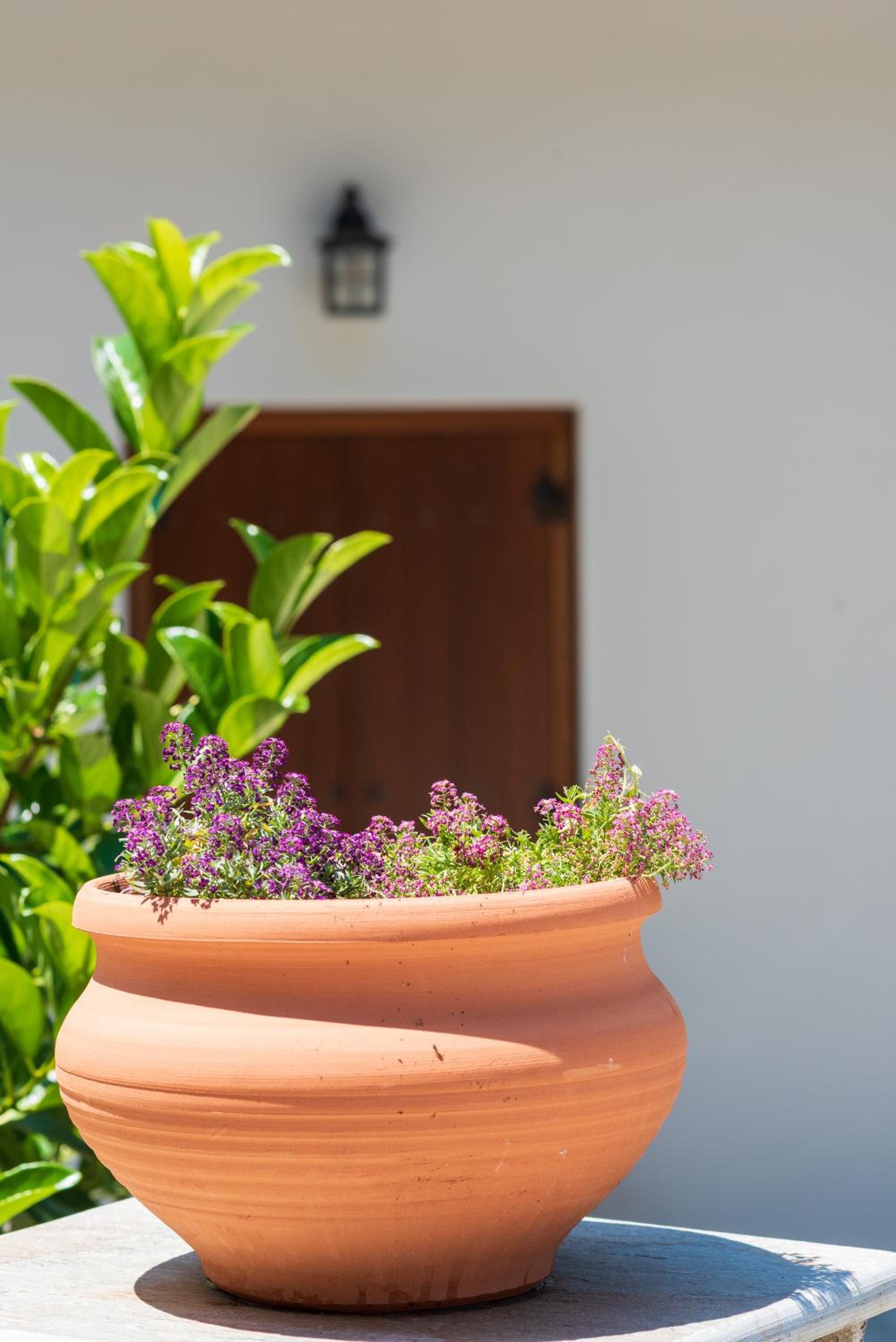 Άλυσσος suites view 2
