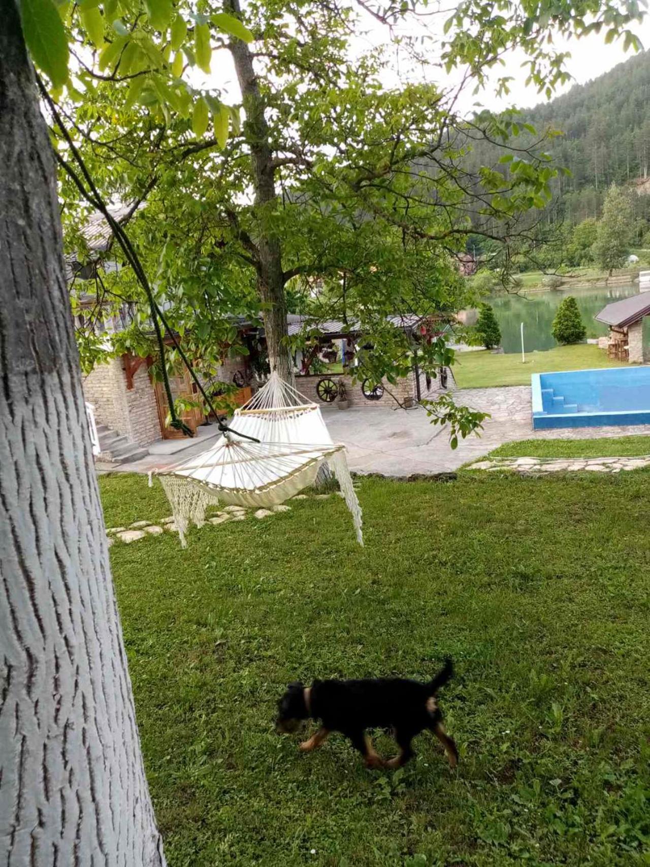 Božanstvena Drina