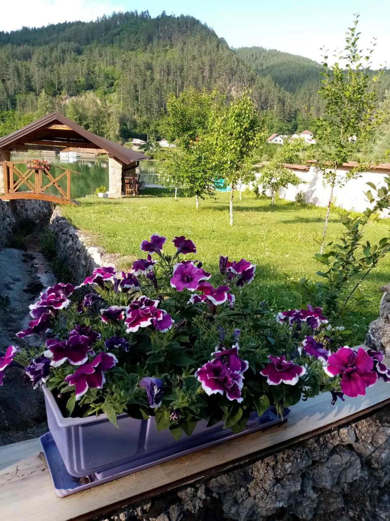Božanstvena Drina