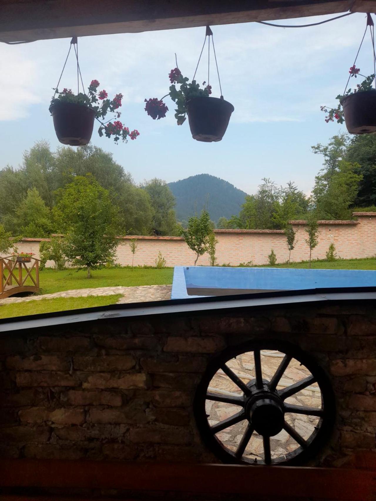 Božanstvena Drina