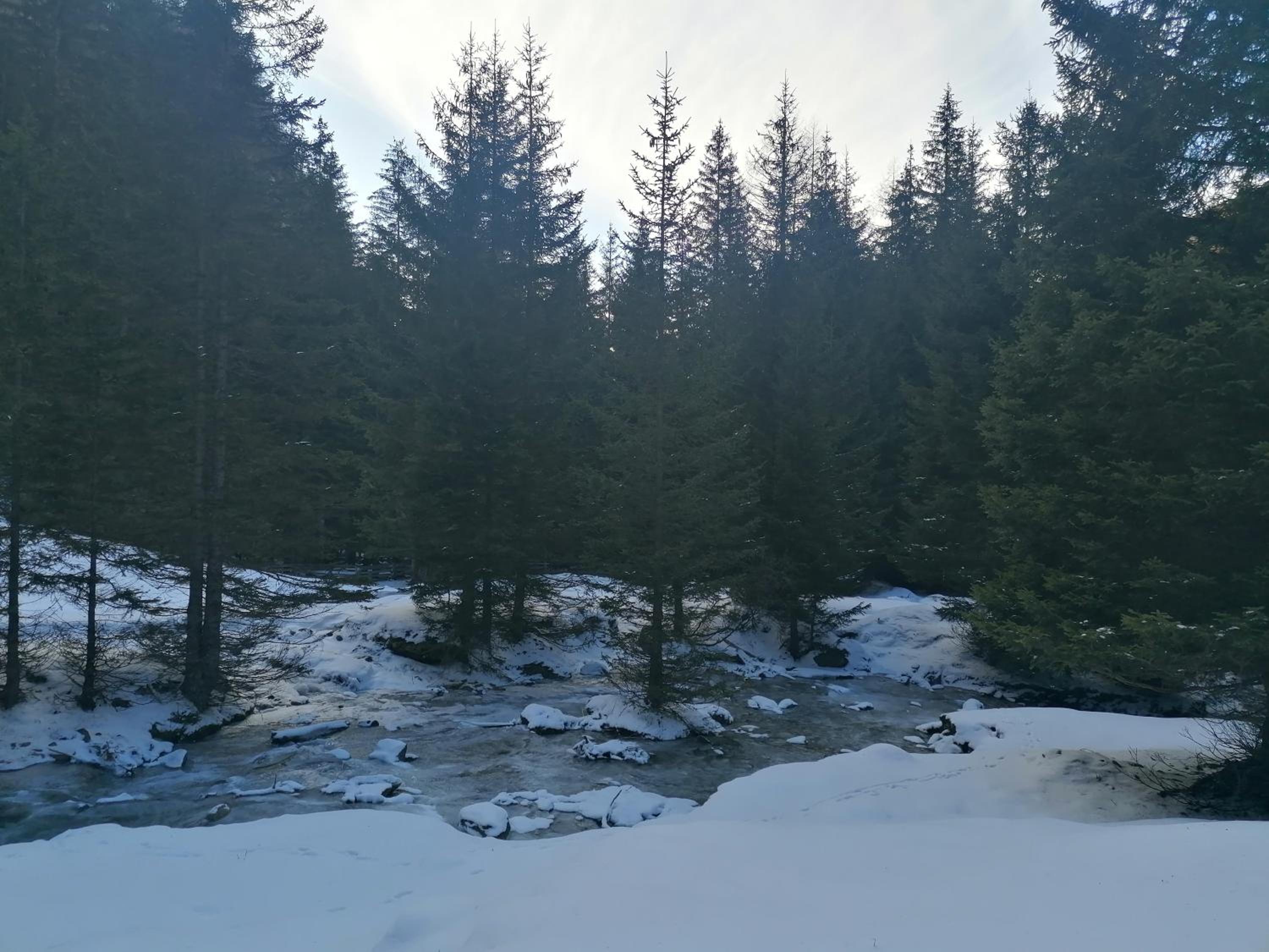 Ferienwohnungen Unterangerhof