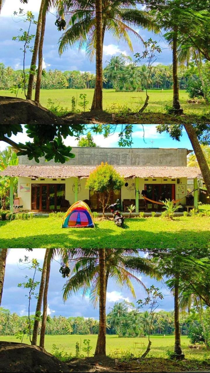 Susan Homestay view 2