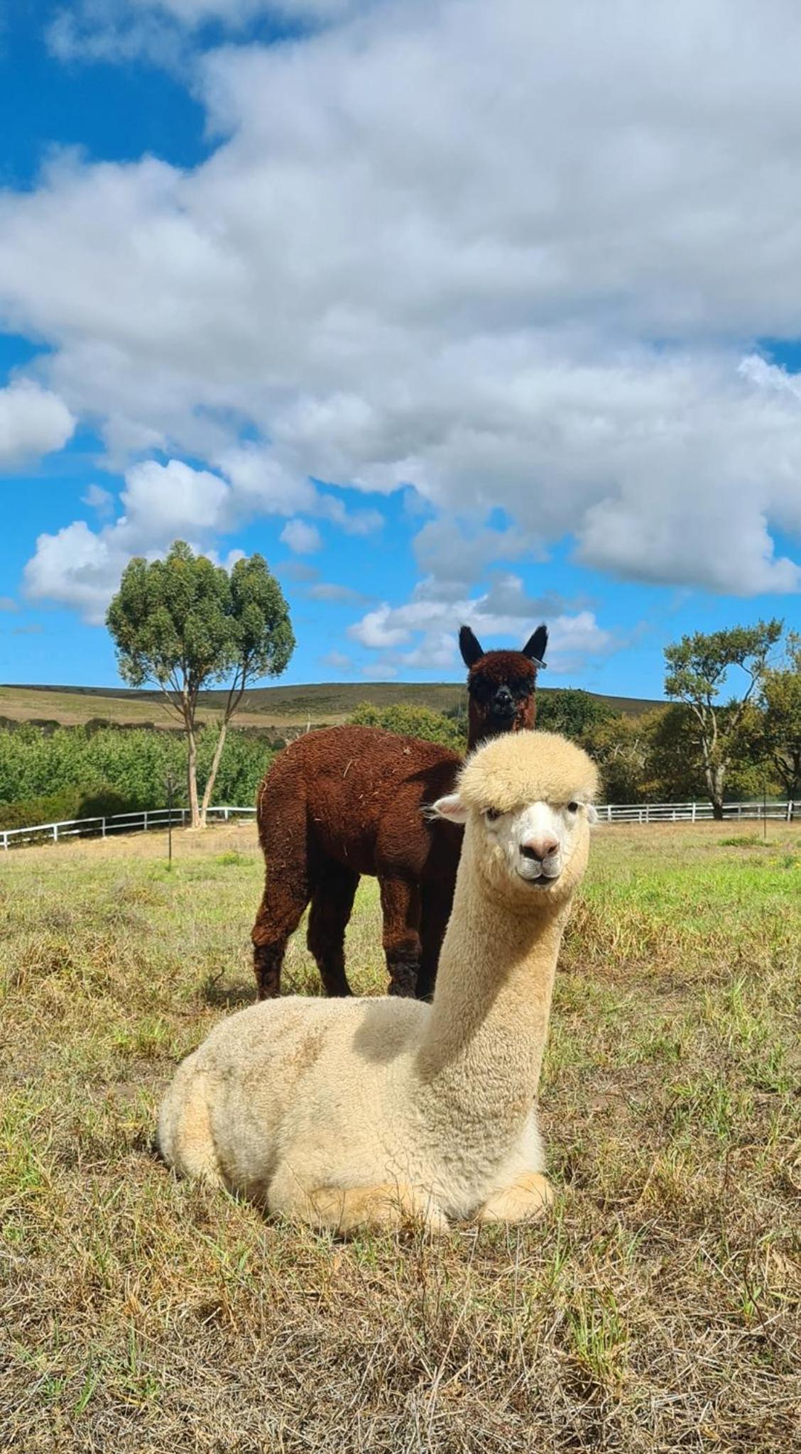 White Water Farm