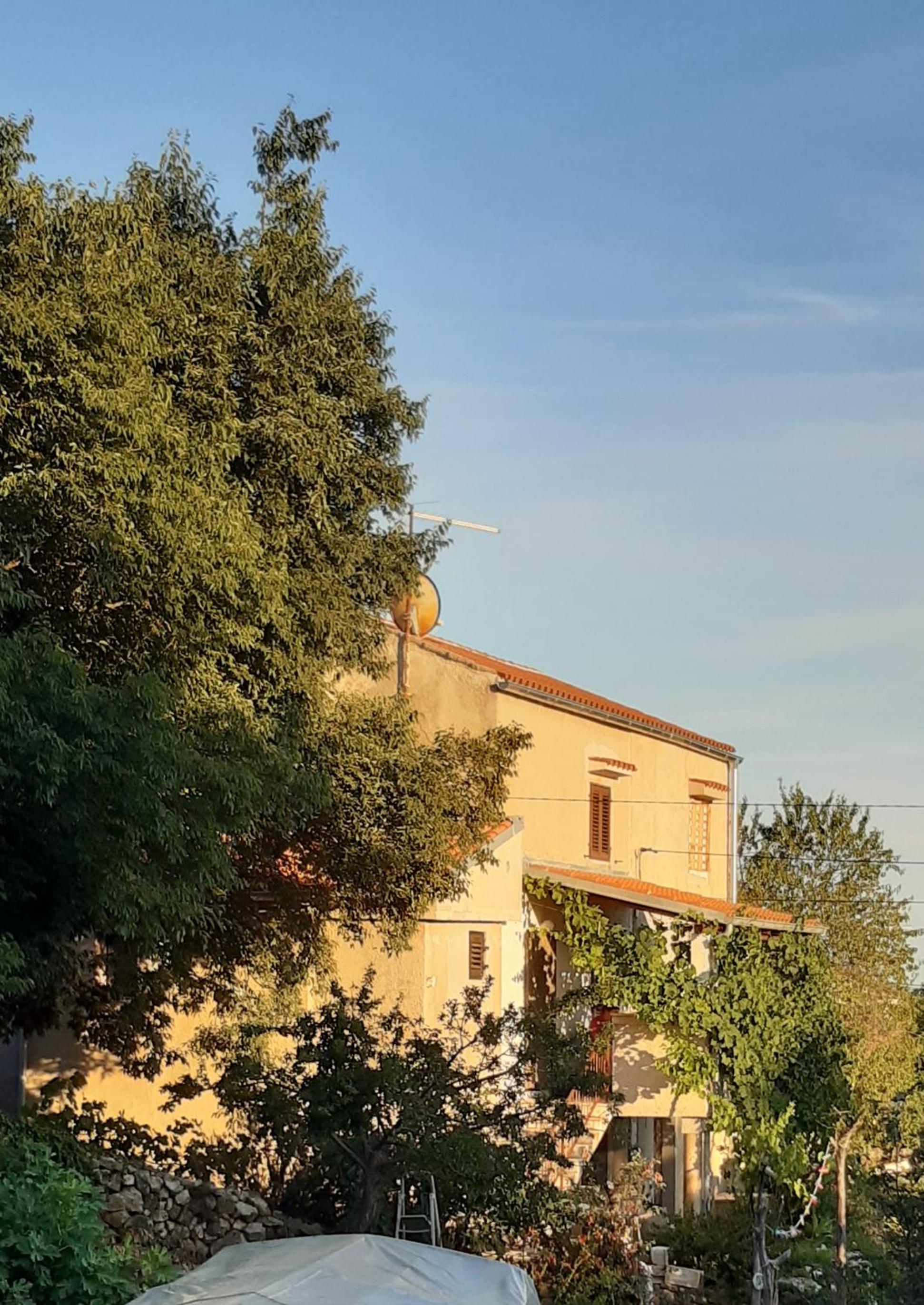 Holiday Home Loznati view 4