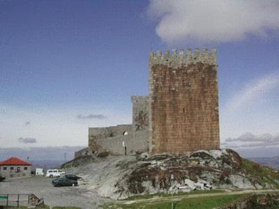 Photo 46