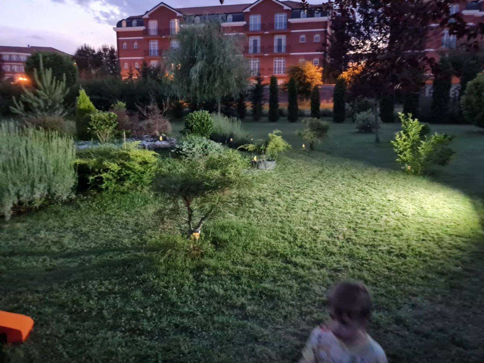 Green Villa Rodna view 3