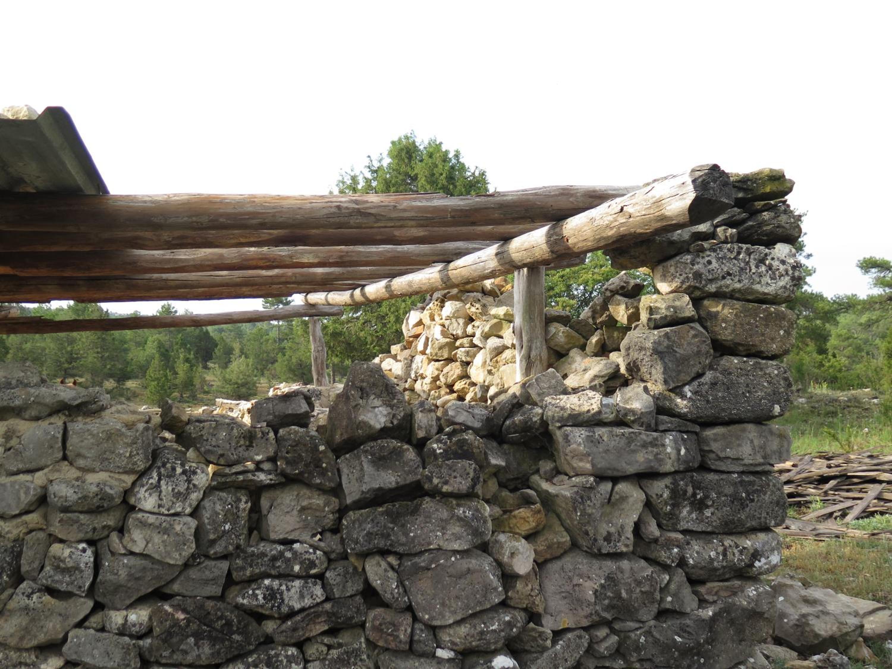 Photo 42