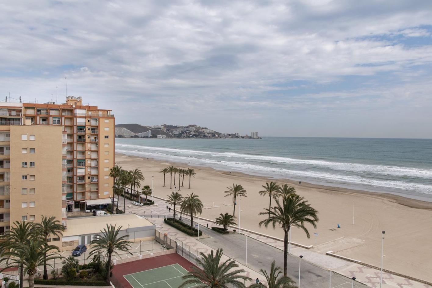 Lider, 8-A view 3