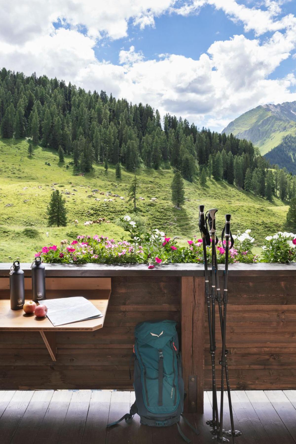 Berggasthaus Höllensteinhütte view 5
