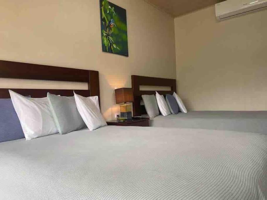 Lisa Loft Boutique Apartment view 4