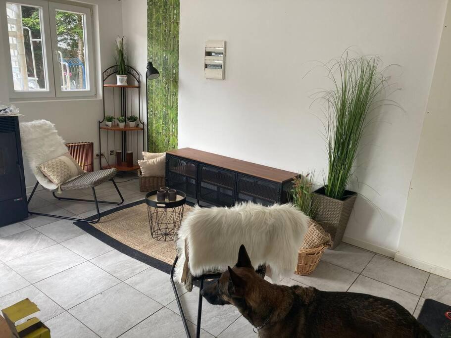 Perle de coton pour duo de charme view 2
