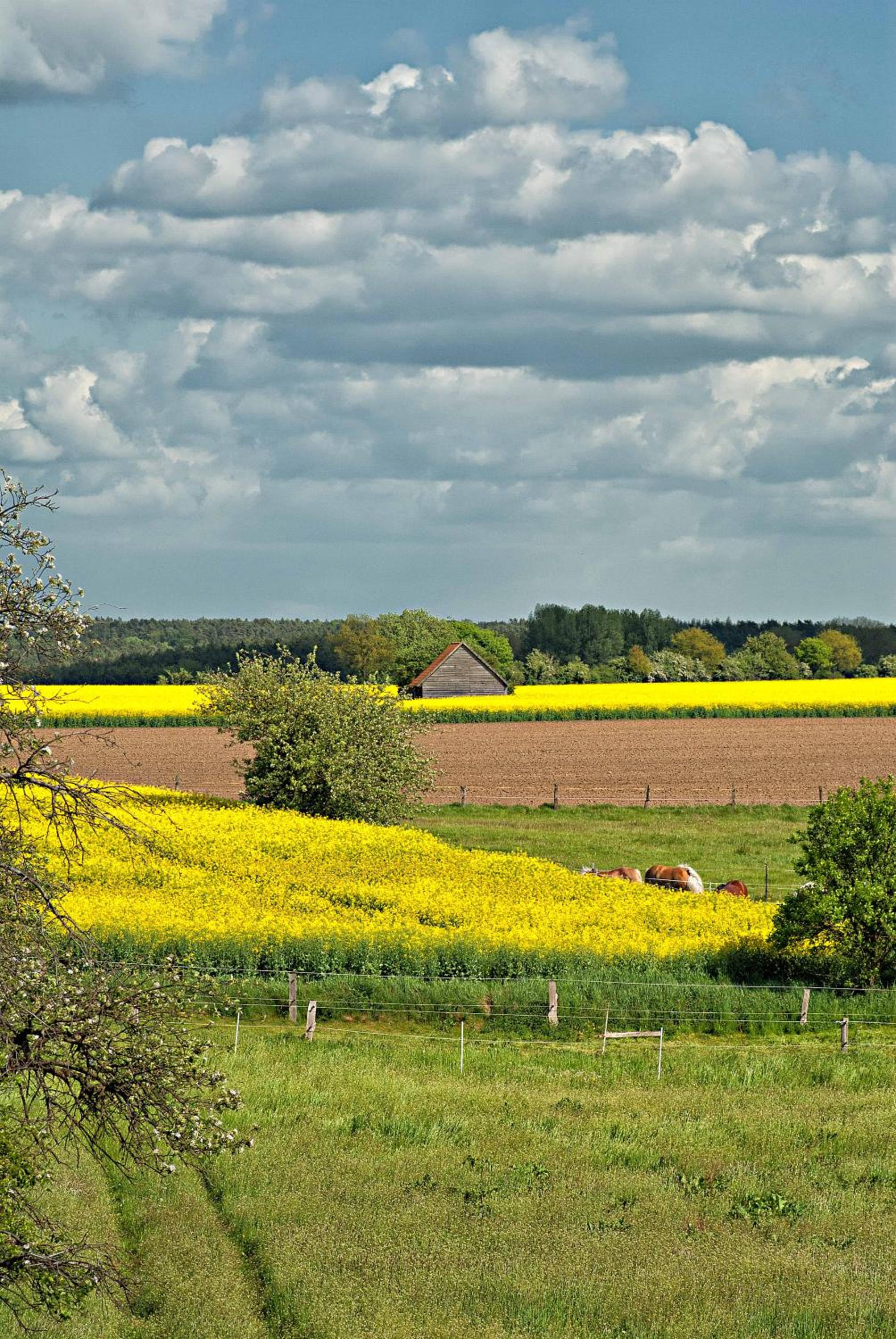 Ferien auf Tippen Hof (Bleckede an der Elbe)