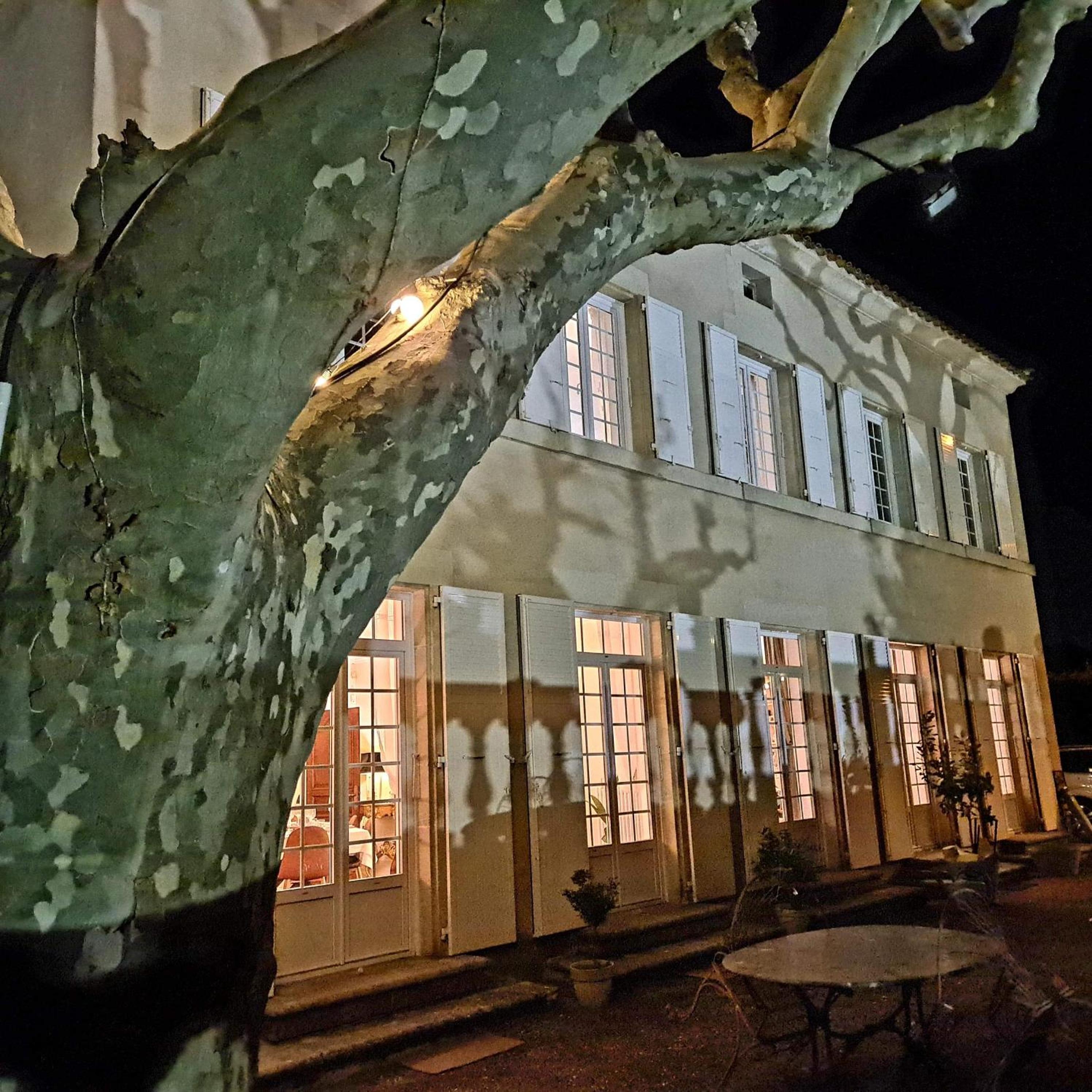 La Villa de Lise, photo 9