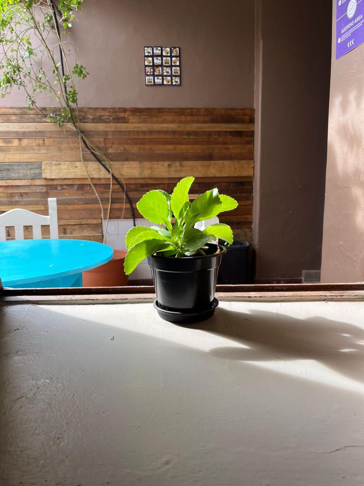 Ferienhaus Hostel Salta