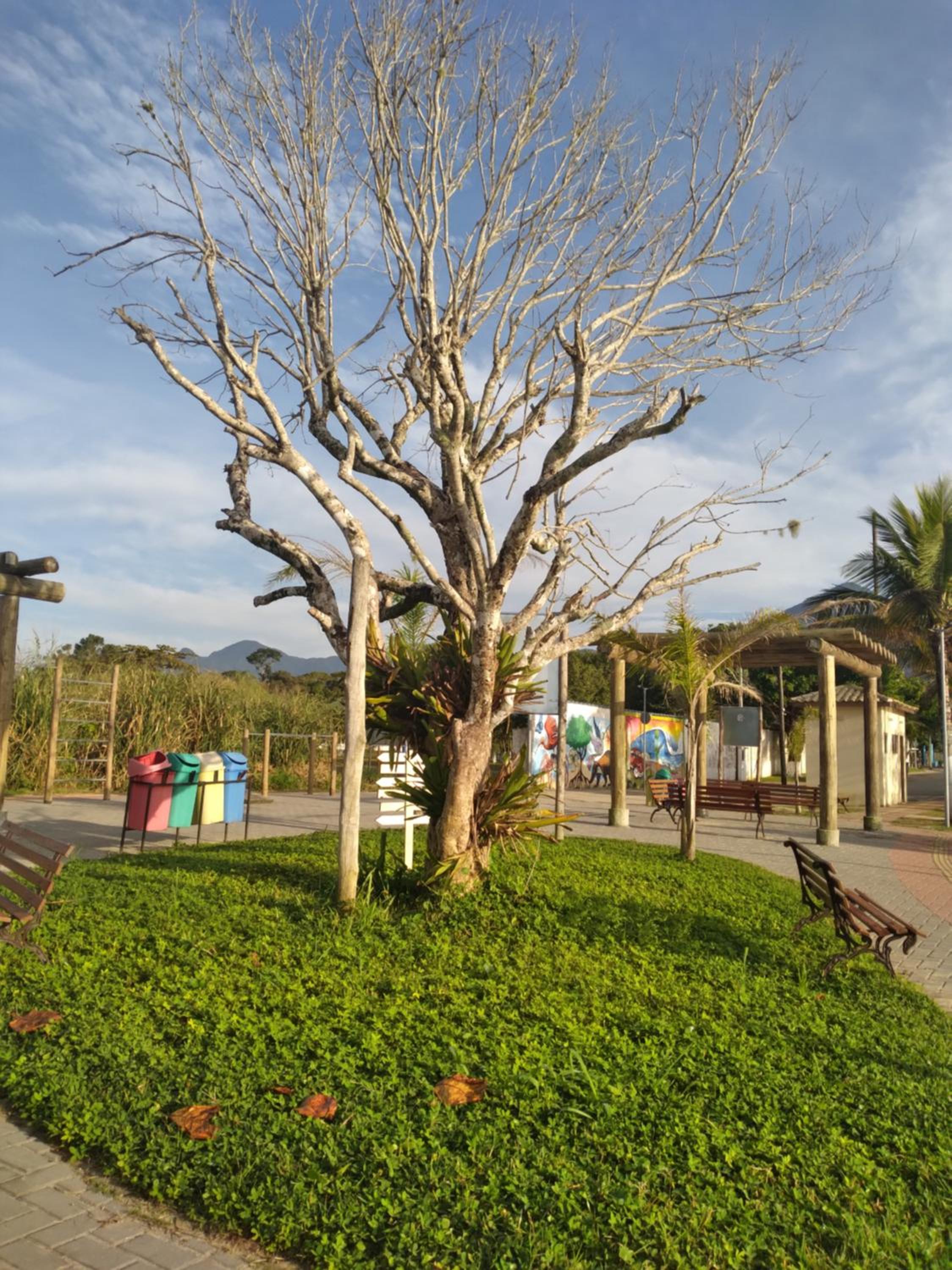 Photo 26