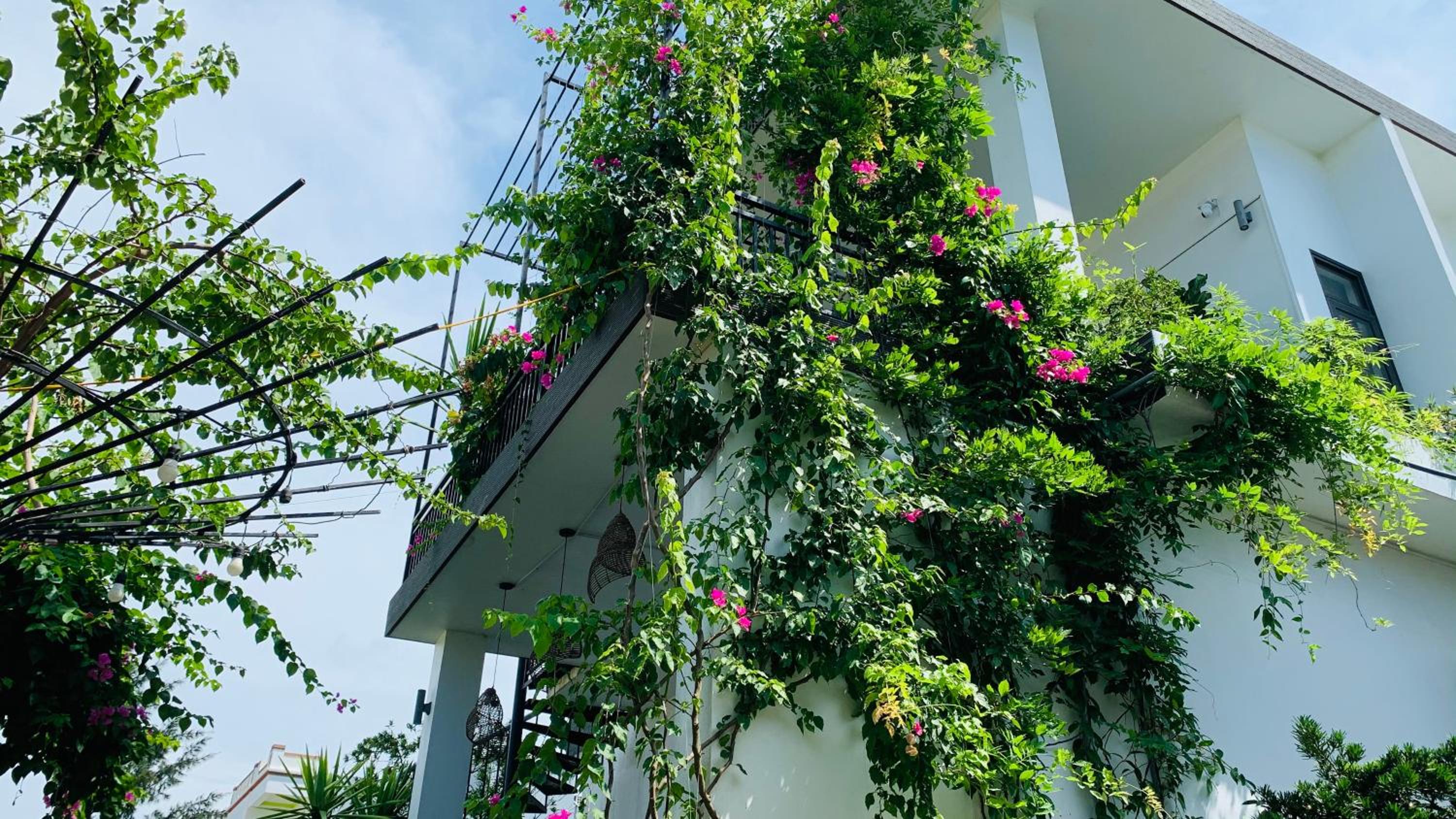 Coto Center Homestay, photo 29
