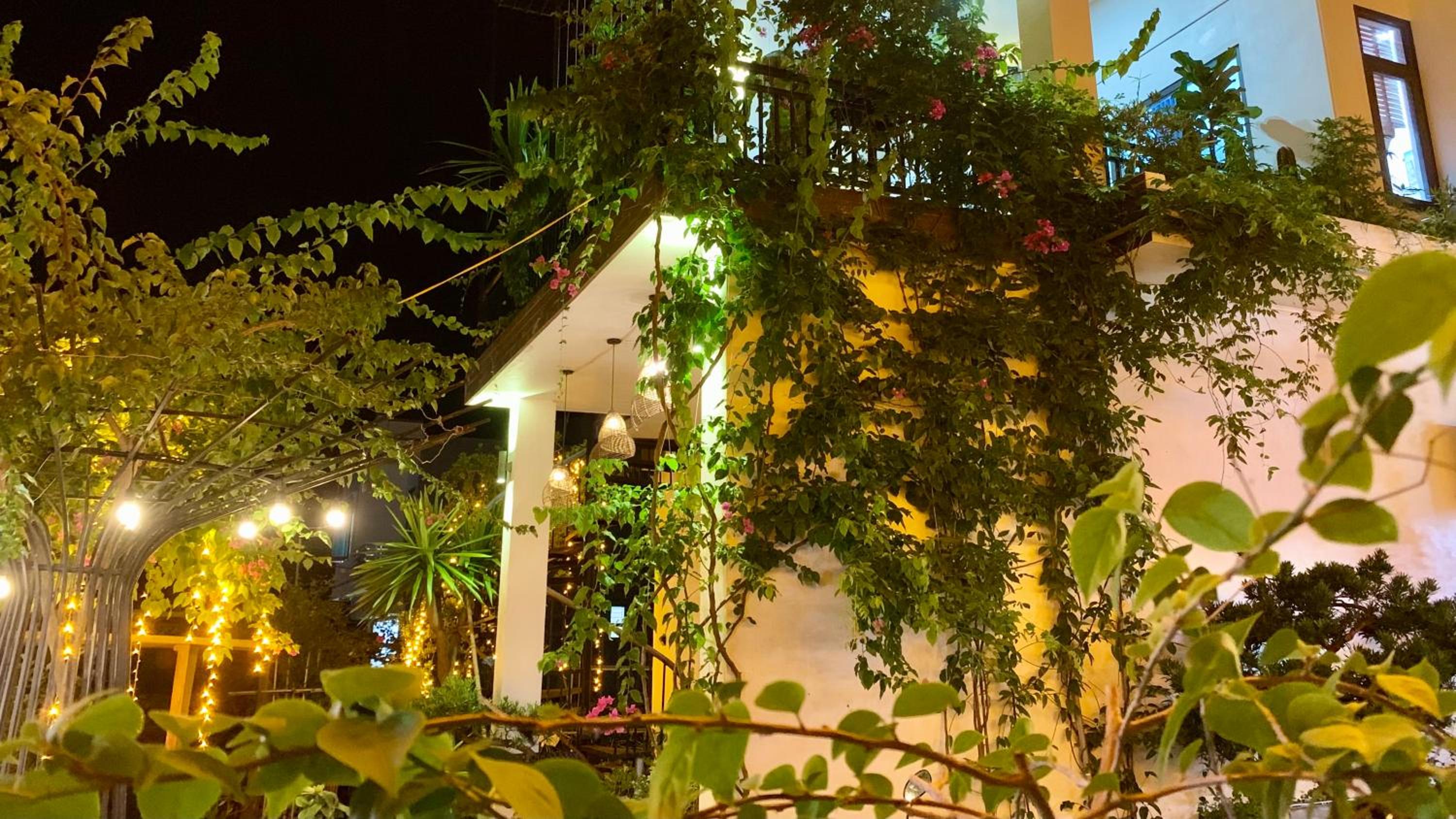 Coto Center Homestay, photo 192