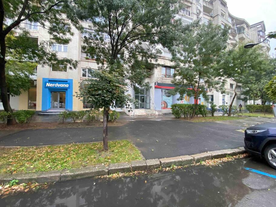 Green Apartment 43 view 3