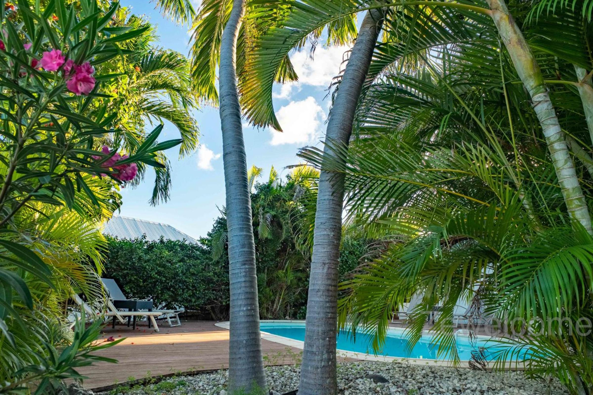 Villa Douceur Caraïbes view 3