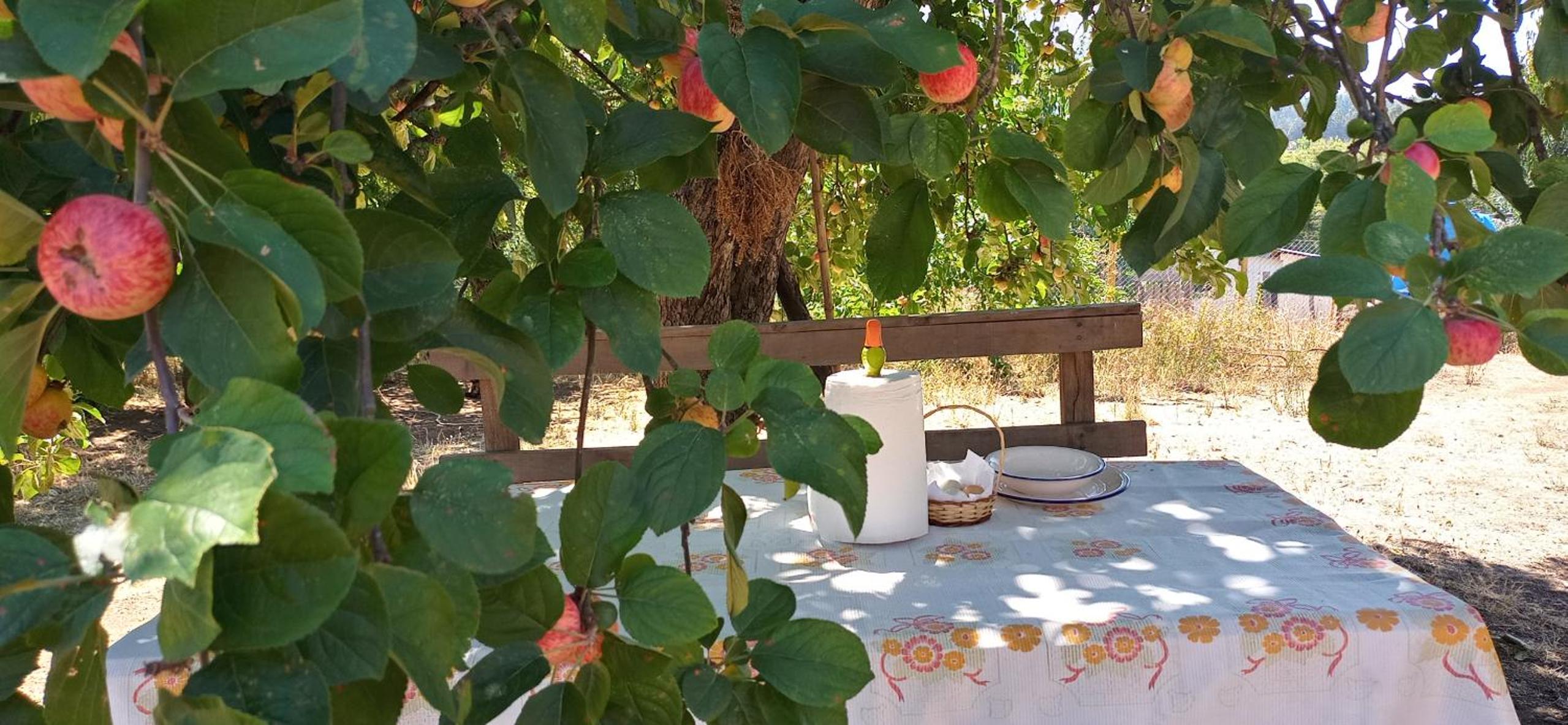Cabañas Lelita Huenumán Bed&Breakfast