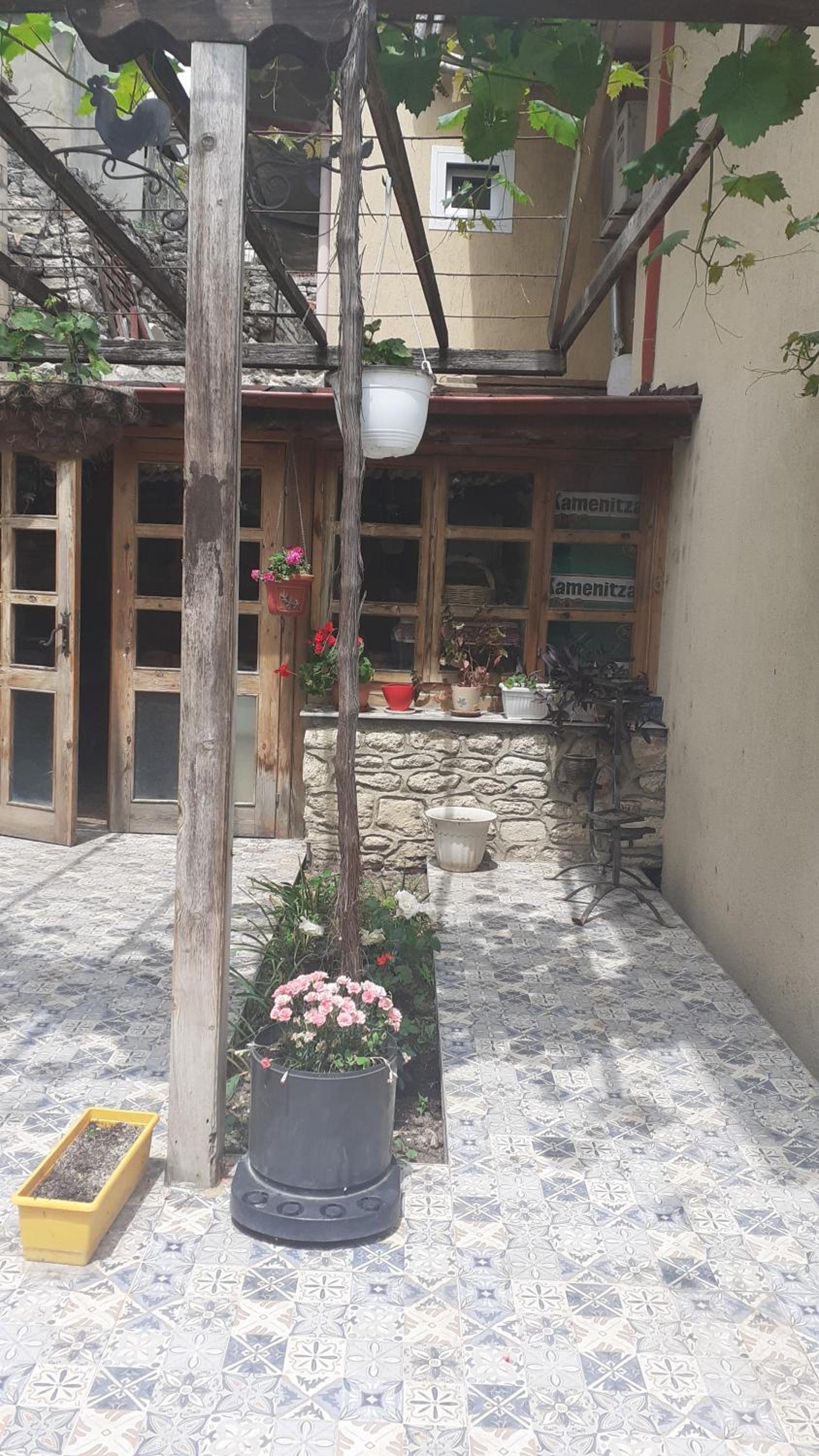 Guest House Mimosa