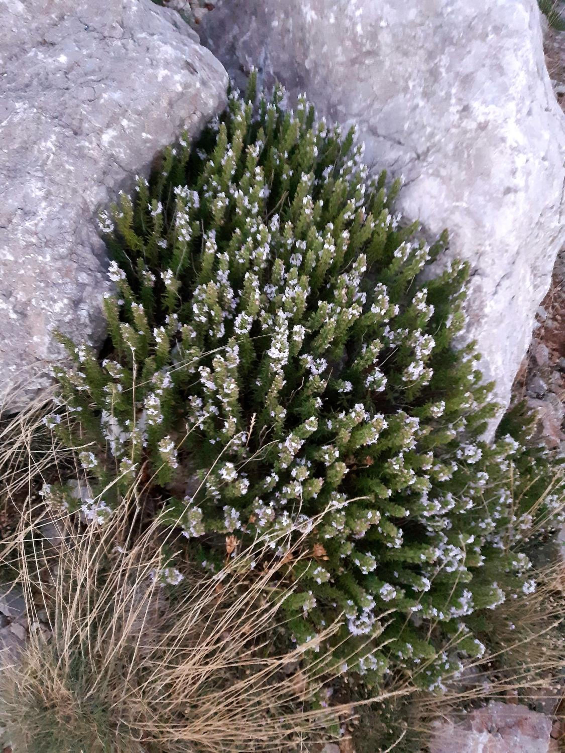 Photo 27