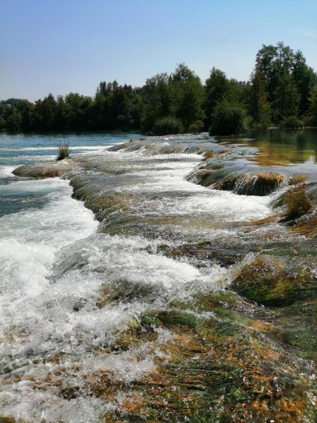 Photo 33